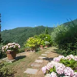 Campo Del Mulino By Interhome Villa Piteccio